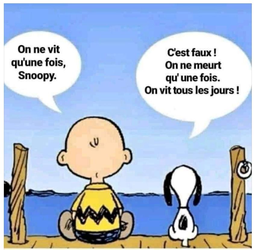 On va tous mourir ! Essentiel & Potentiel Blog d