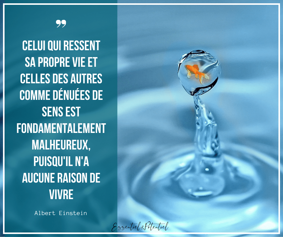 Quête de sens au travail