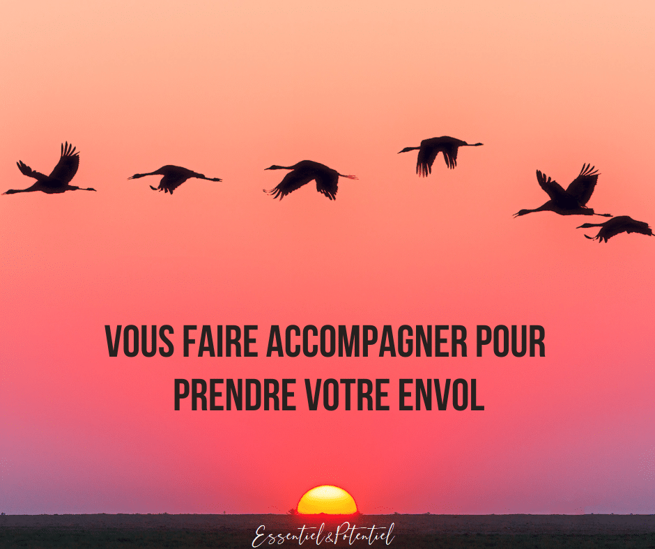 Pourquoi se faire accompagner par un coach pour trouver sa voie professionnelle ?