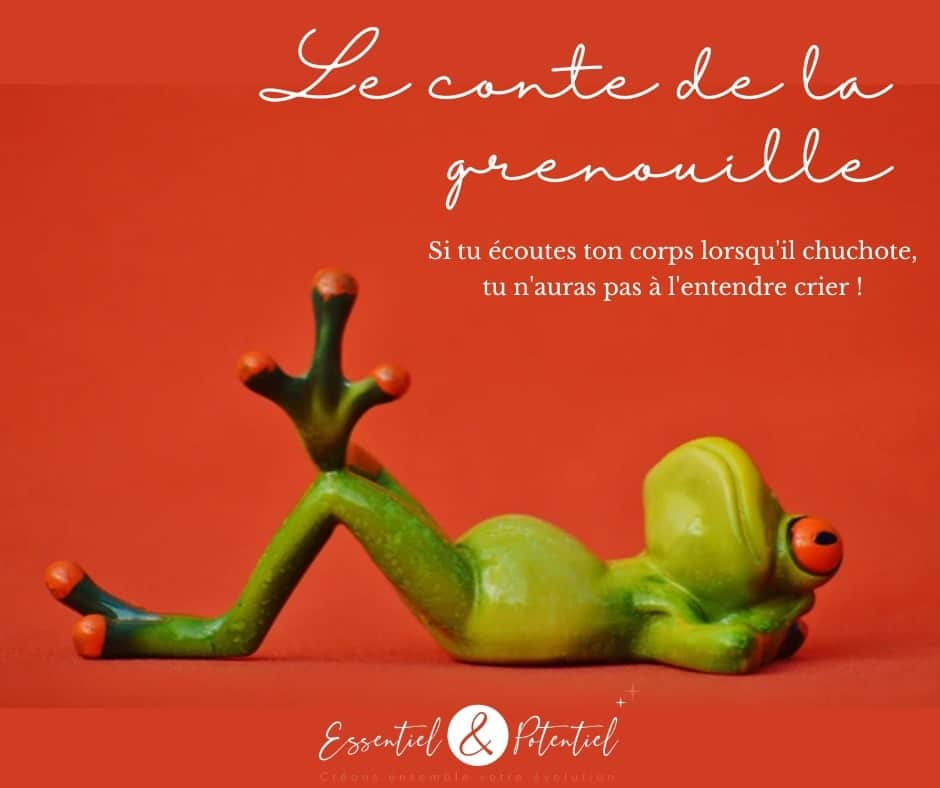Le conte de la grenouille …